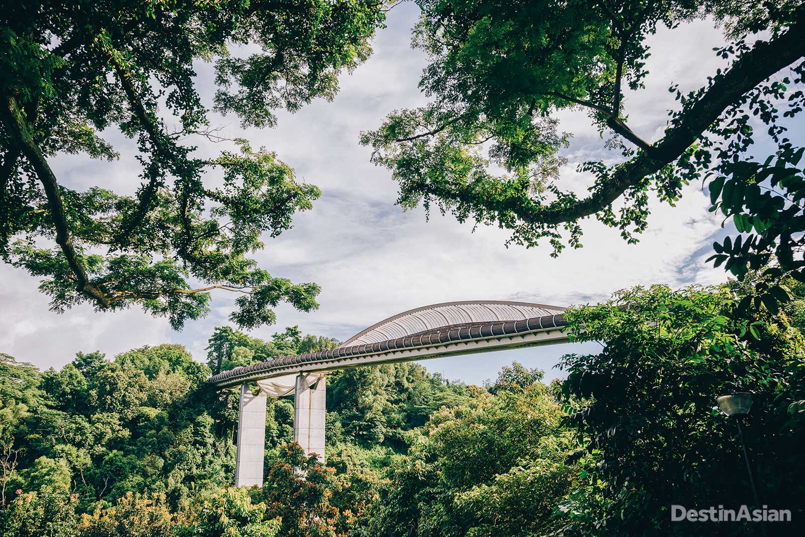 The sinuous Henderson Waves bridge.