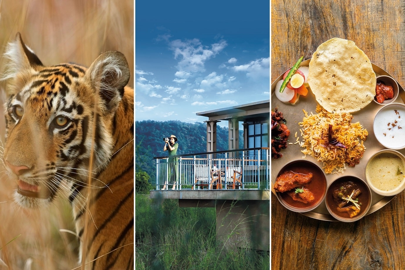 On the Tiger Trail in Tadoba.