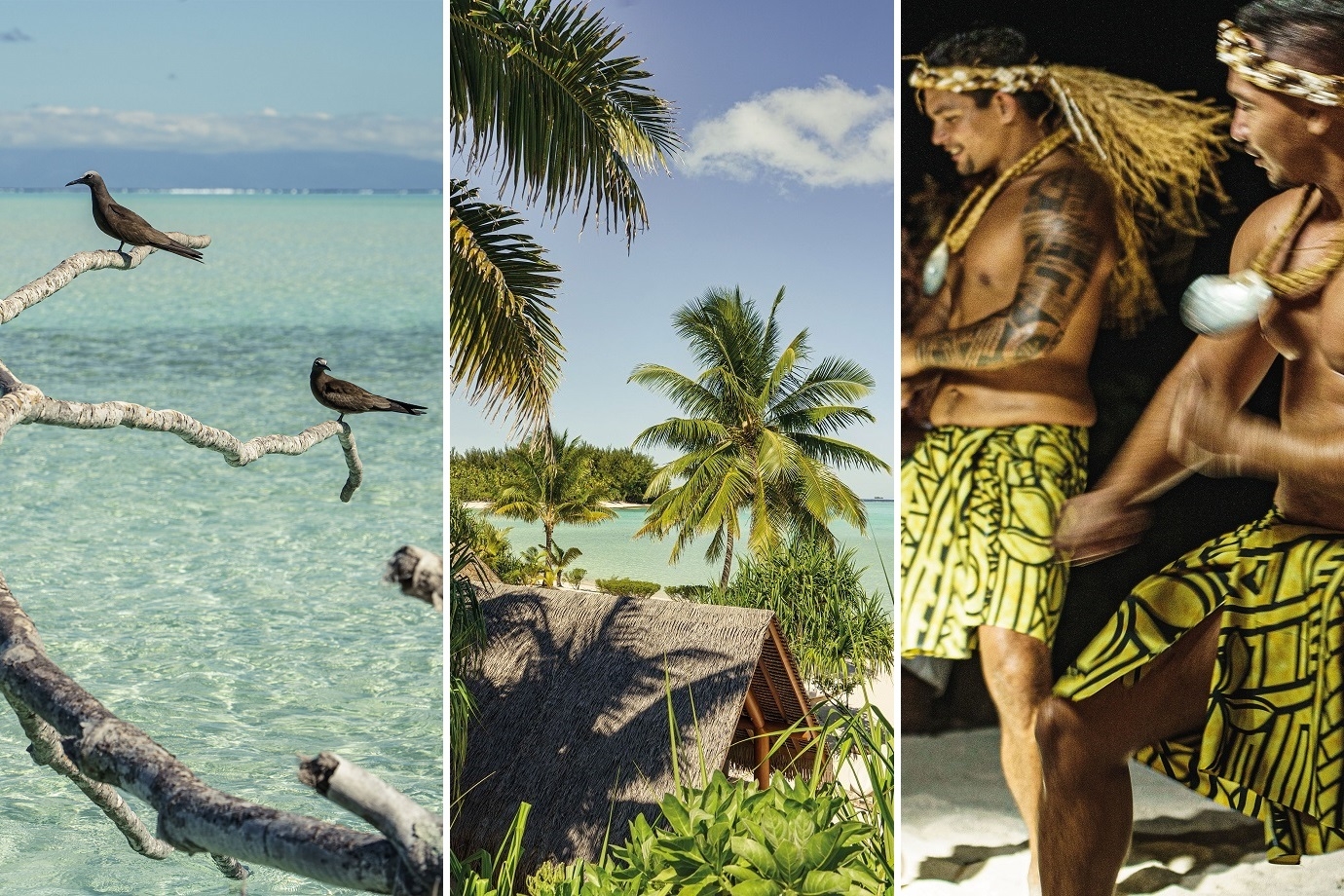 The Brando DestinAsian - Featured Image