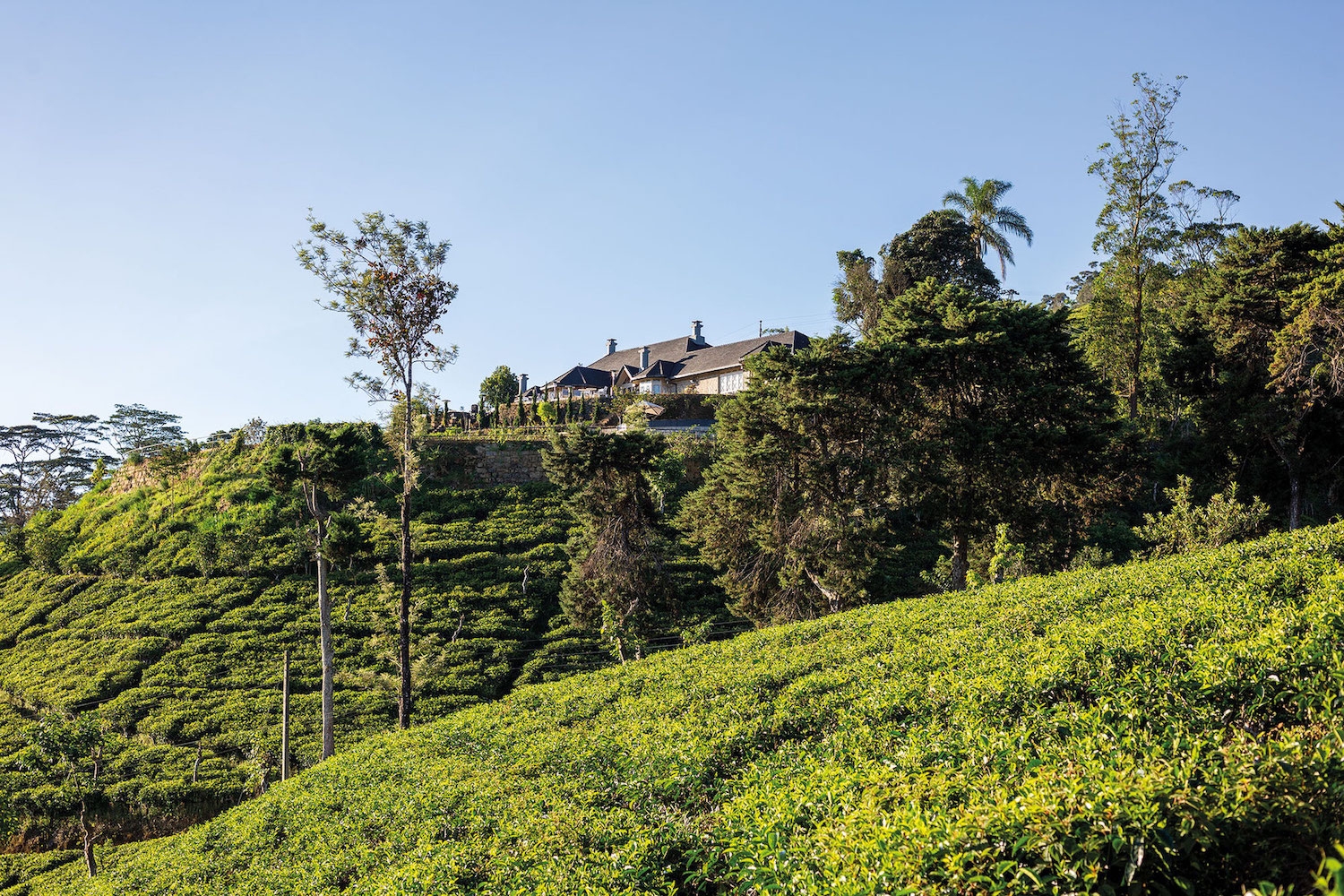 Uga Halloowella’s hilltop perch.