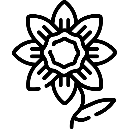 Attraction Icon