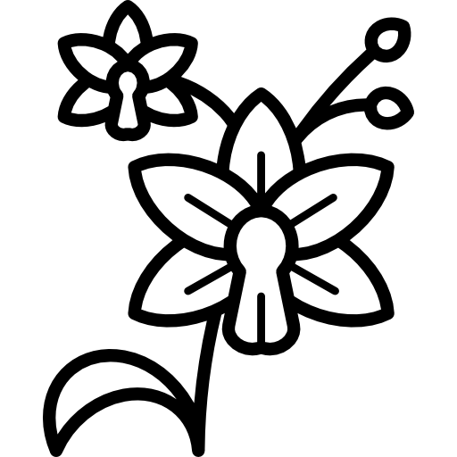 Attraction Icon