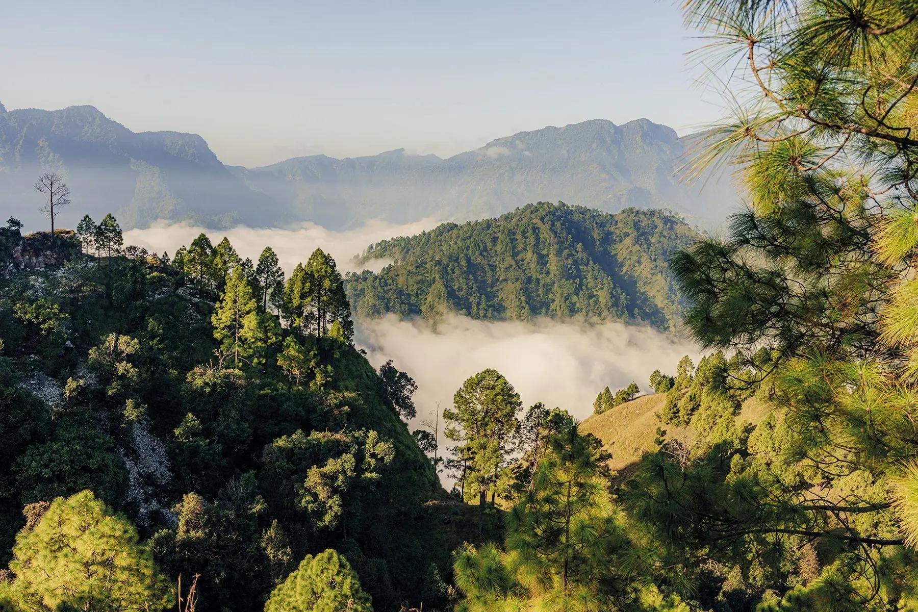 Morning fog blankets a valley near Shakti Prana.