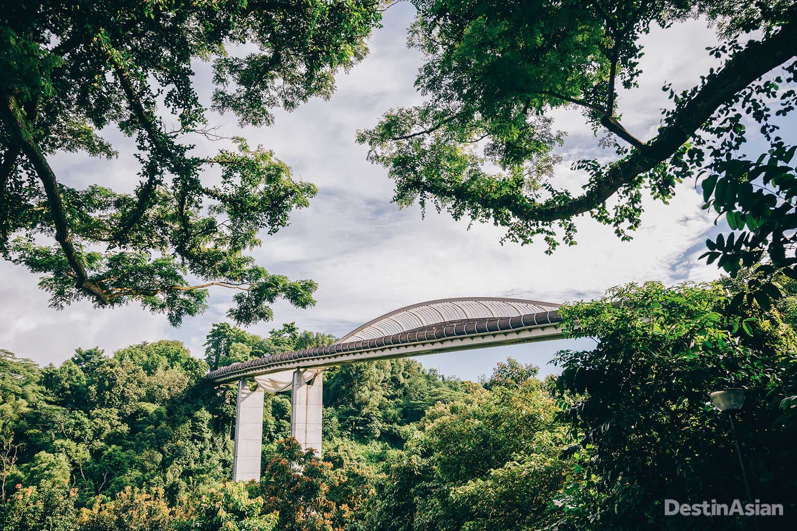 The sinuous Henderson Waves bridge.