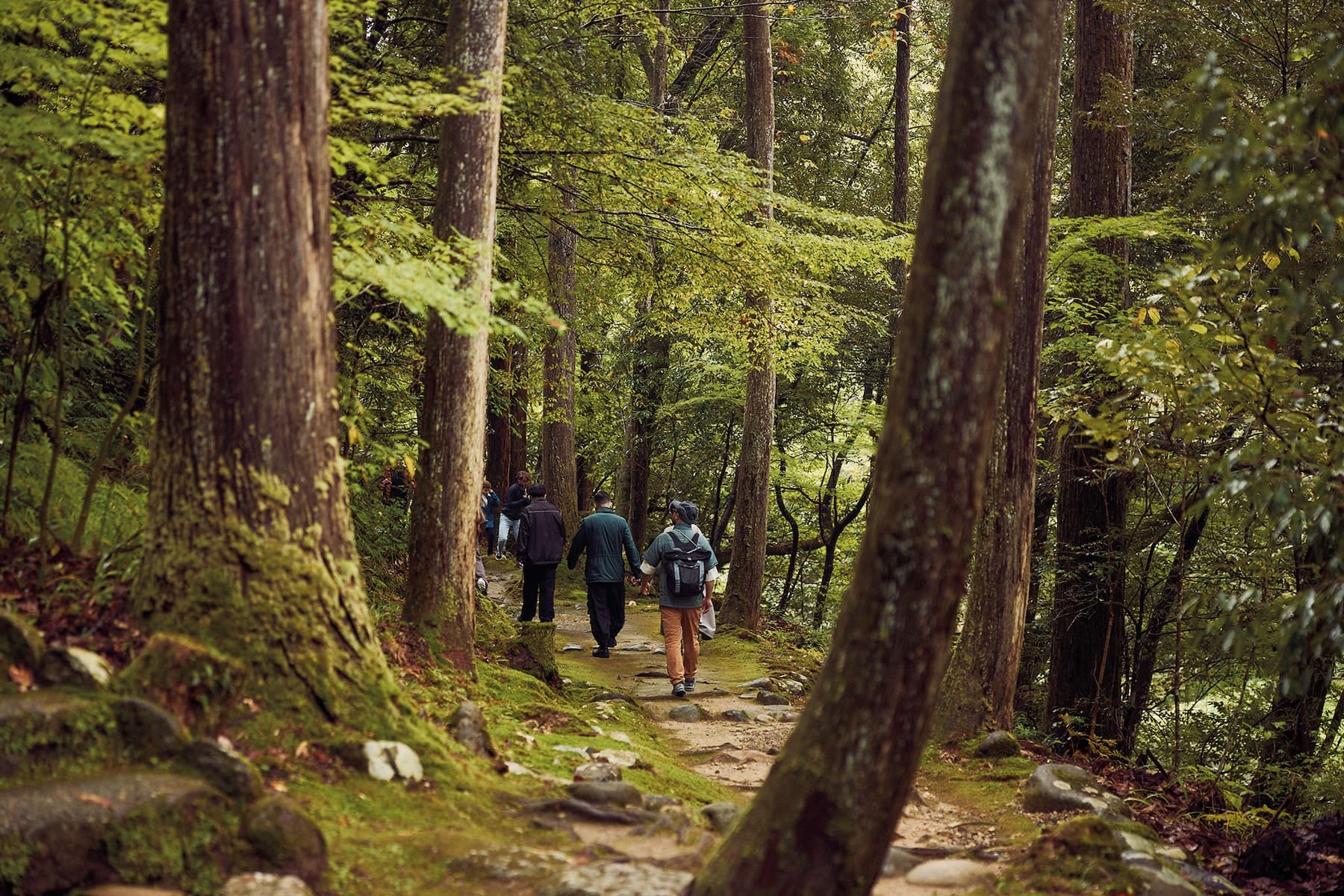 A forest walk outside Yamanaka Onsen, Japan.